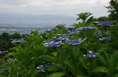 京都を望む