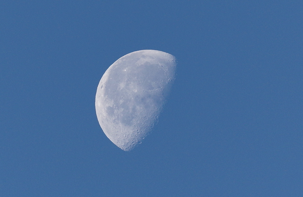 Winter moon