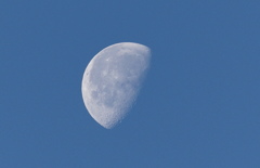 Winter moon