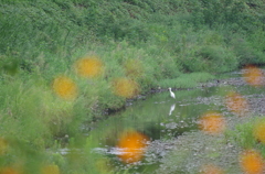 秋の気配