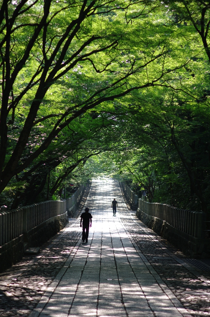 長い道