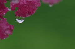 水晶玉
