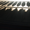 SHADOWS