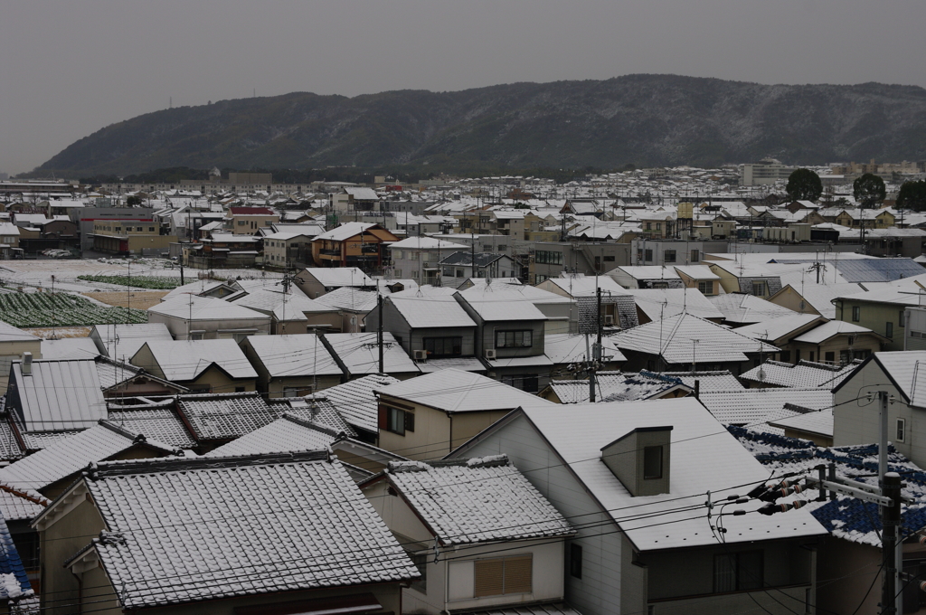 今朝の雪