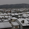 今朝の雪