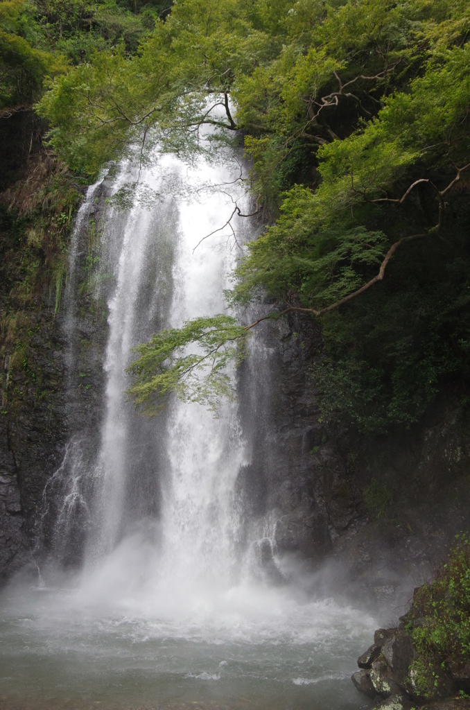箕面大滝