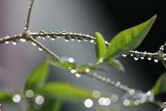 梅雨の風景