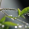 梅雨の風景