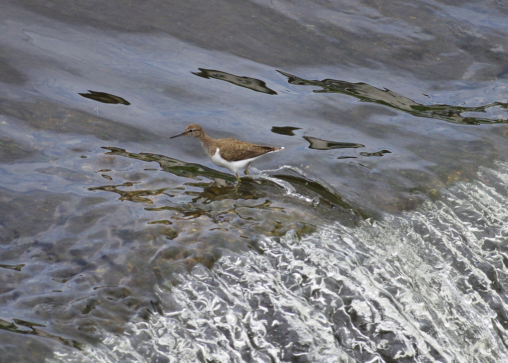 雨が上がって２