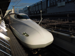 のぞみ