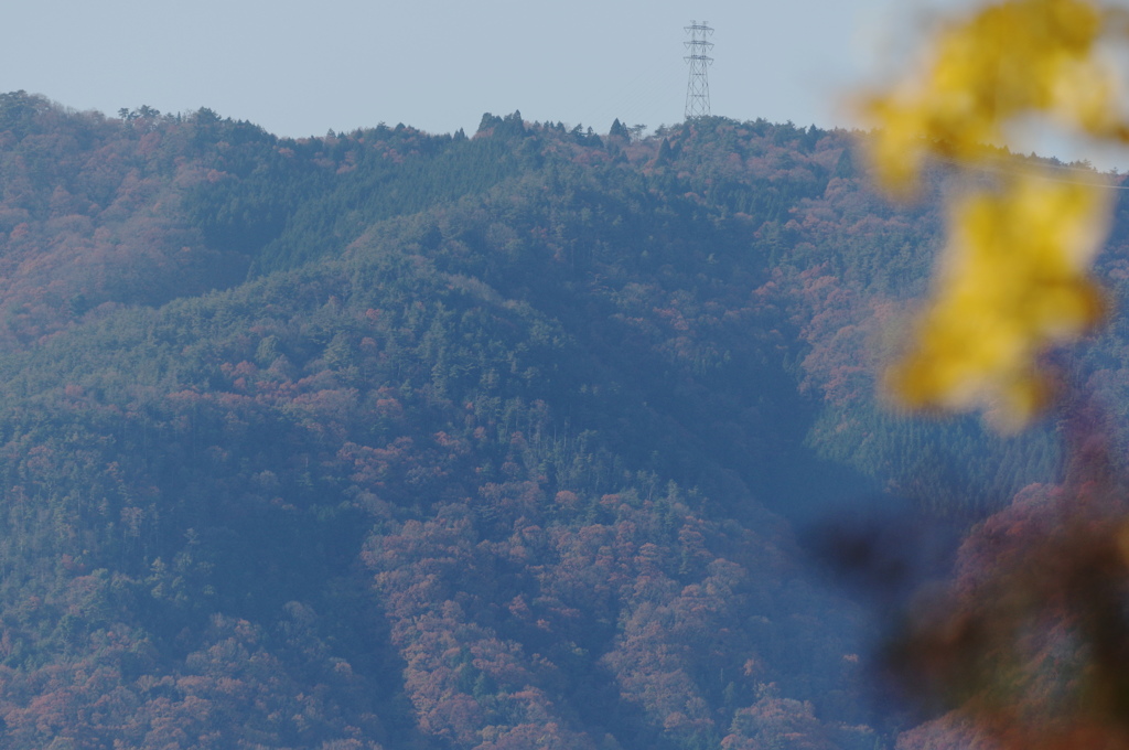 紅葉の山