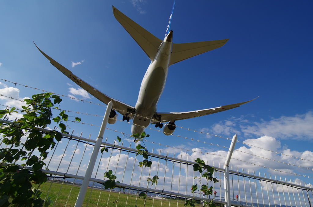 空と陸の間６