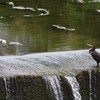 どうもすいません