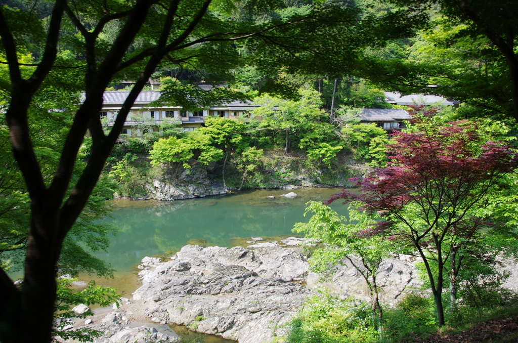 保津峡を望む