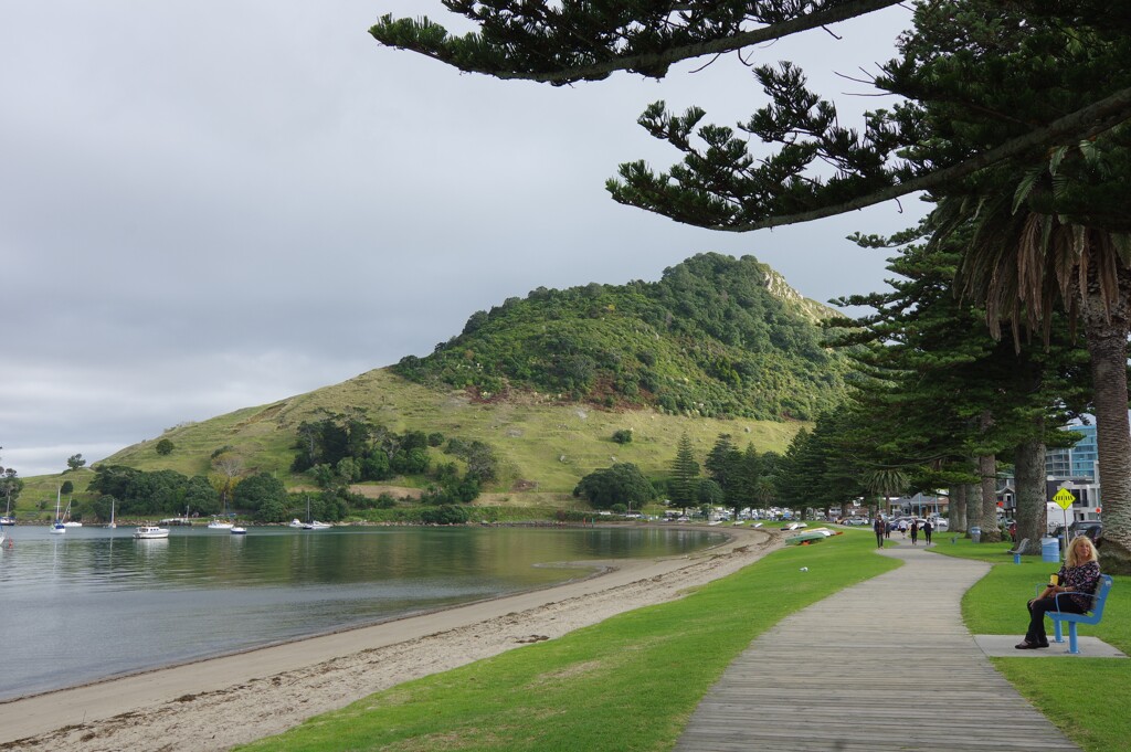 Mount Manganui Tauranga 1