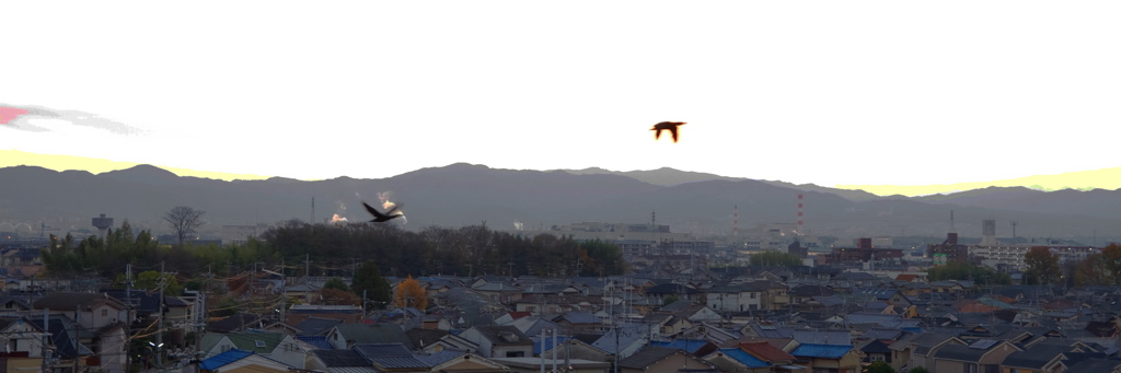 一番鳥