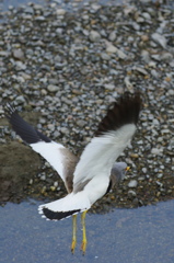 飛びケリ３
