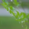 梅雨模様