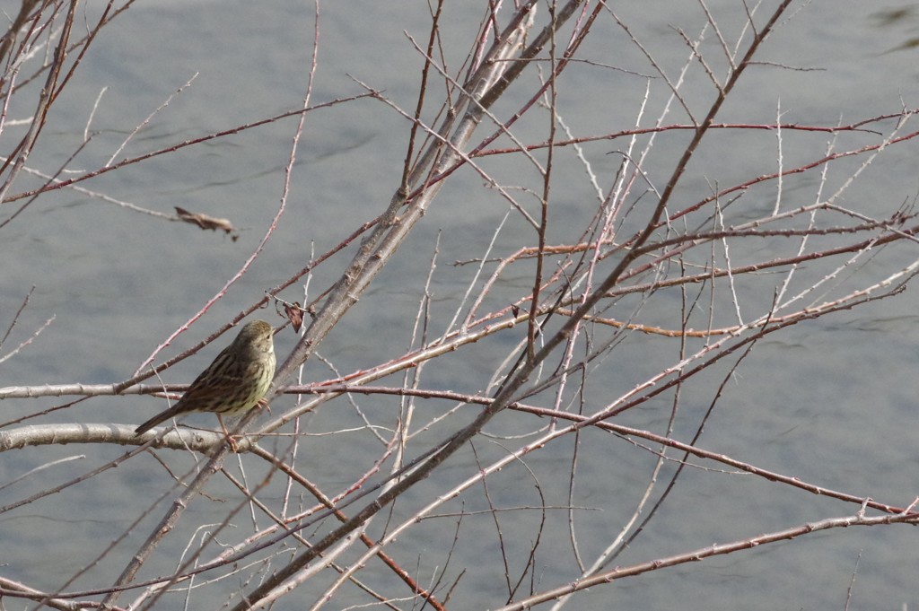 春の陽気５