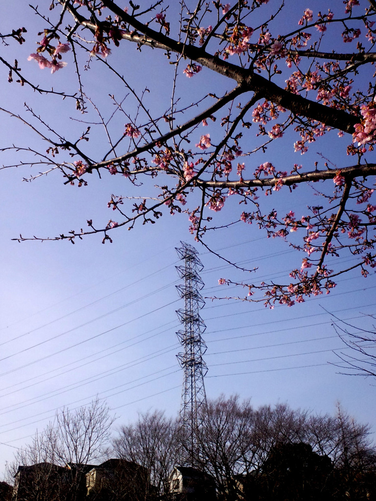 春の鉄塔