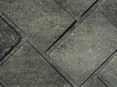 迷路
