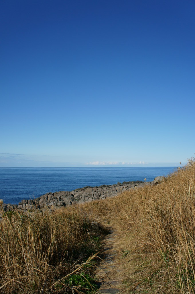 雄島