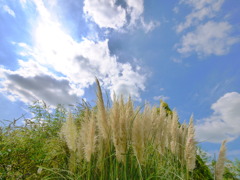夏～