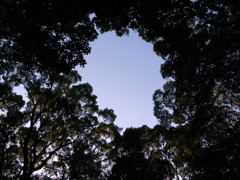 熱田神宮の空