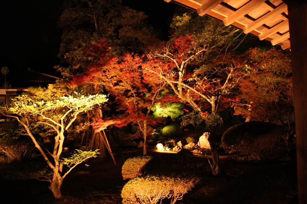 夜景