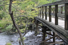 渓流