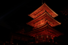 清水寺秋のライトアップ5