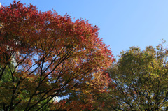 公園
