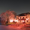 夜桜