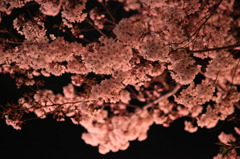 '09 春の犬山祭