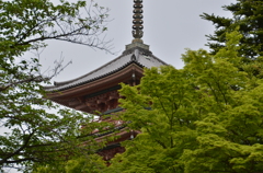 清水寺