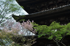 八坂の塔