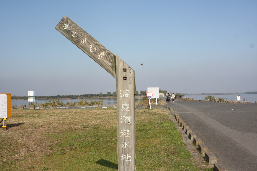 画像 013