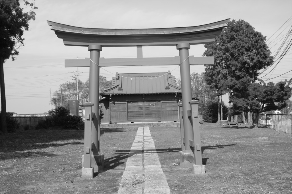 画像 005