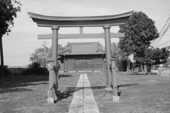 画像 005