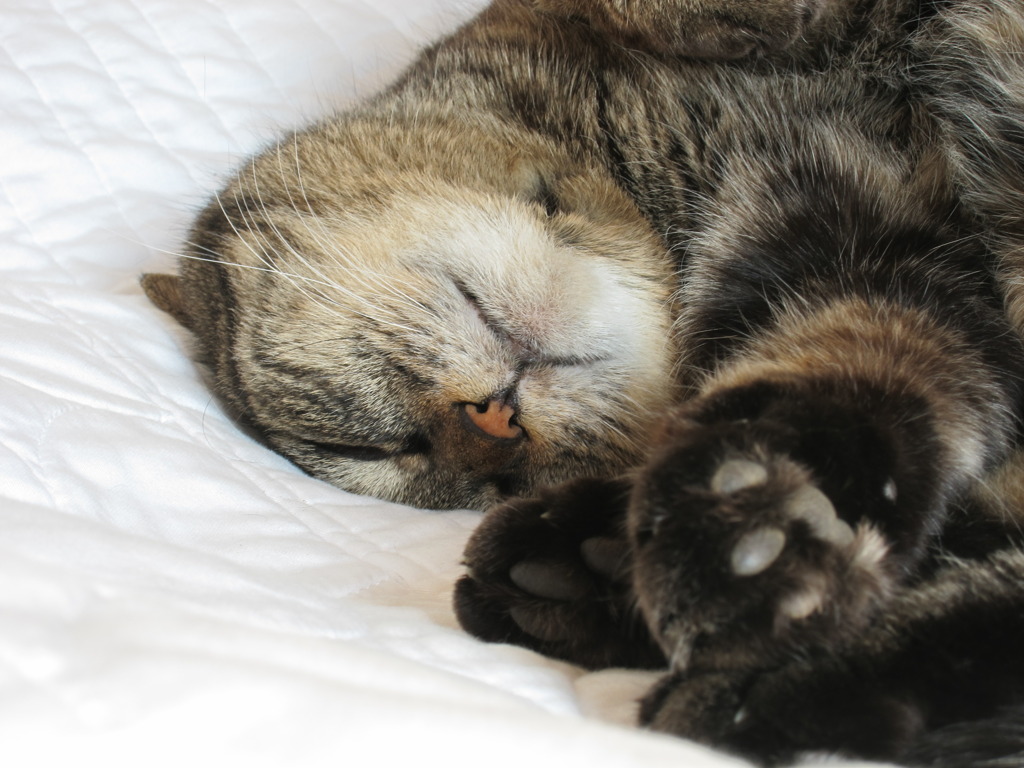 zzz...