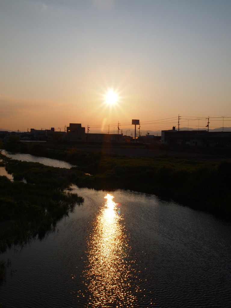 散歩道から