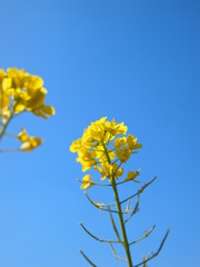 空に向かって
