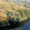 秋の山道脇から