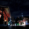 浅草夜景#19 