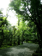 楽寿園