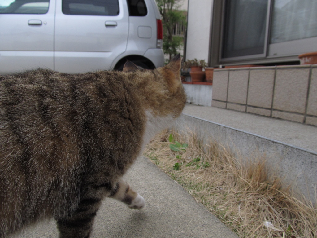 忍び足