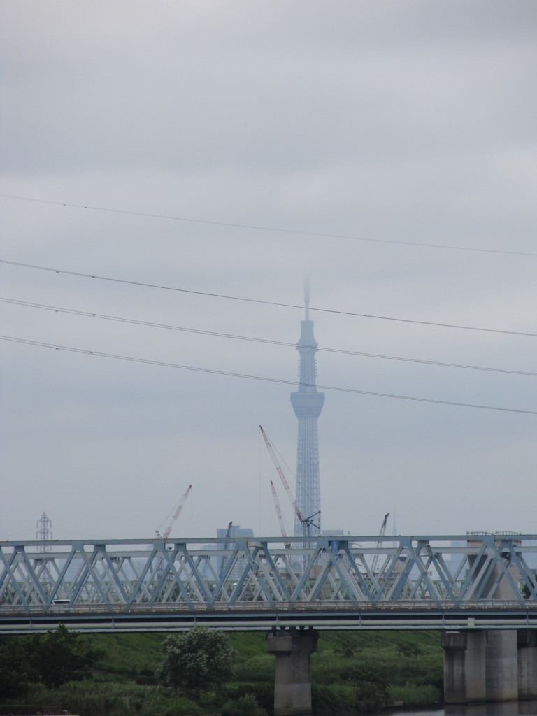 橋の上の霧のかかった東京スカイツリー