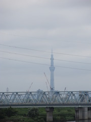 橋の上の霧のかかった東京スカイツリー