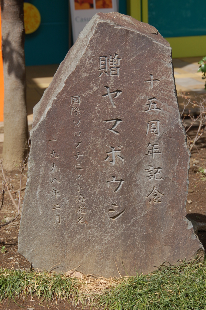 贈ヤマボウシ