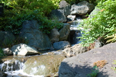 小川